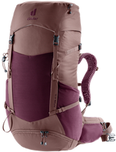 Cassis Ashrose