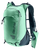 Spearmint