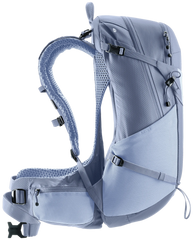 Polar Bluejay