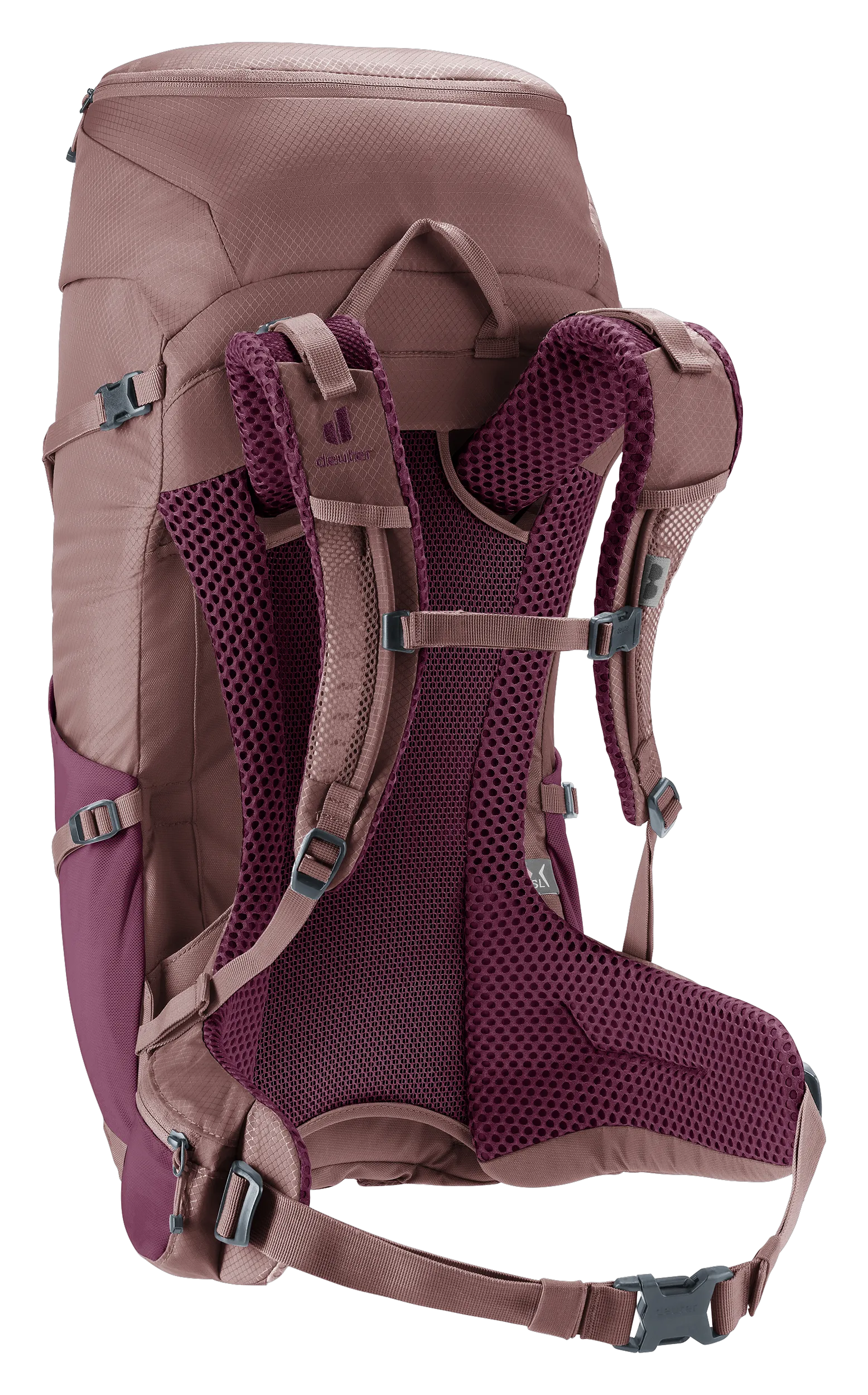 Cassis Ashrose