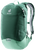 Seagreen Spearmint