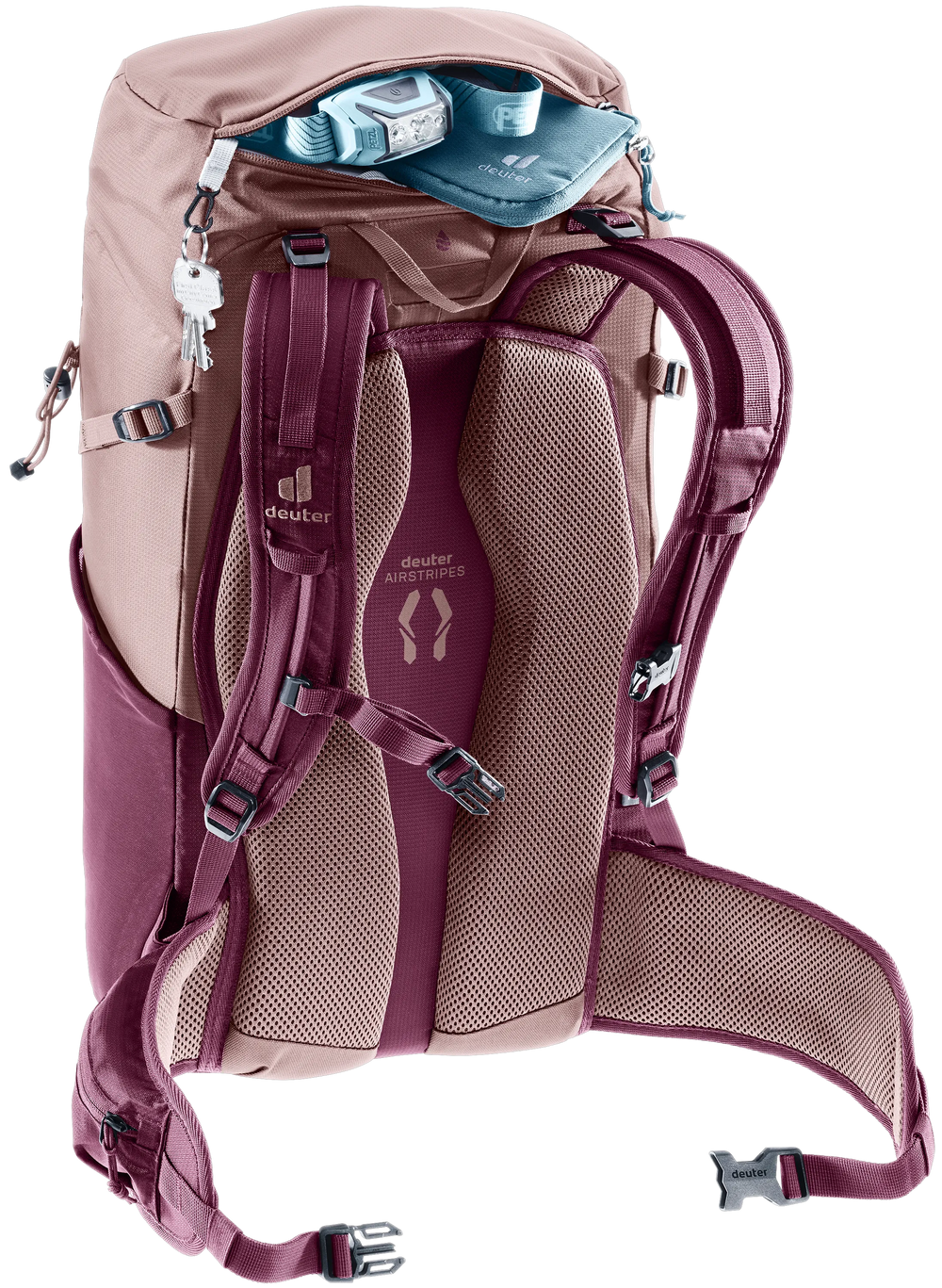 Ashrose Cassis