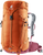 Chestnut Maron